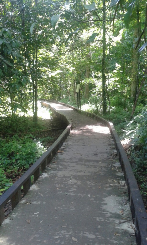 the track. Around 800m hiking above