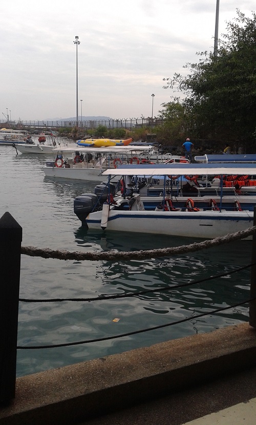 Jetty Boat