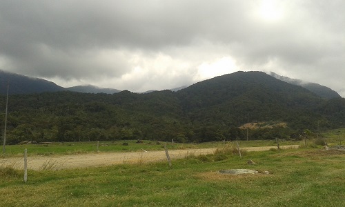 Desa Cattle Dairy Farm must visit when having trip to Kundasang