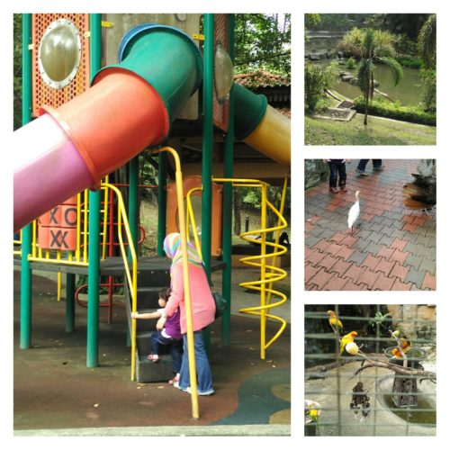 Surrounding and kids playground at KL Bird Park
