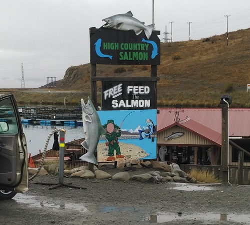 High Country Salmon Welcome you