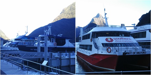 Milford Sound Cruise ship ready to serve you