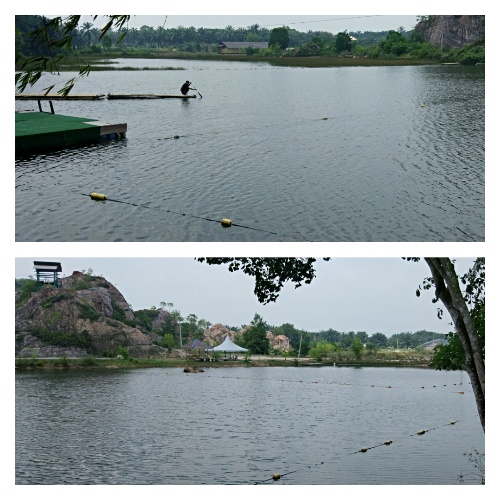 Tadom Hill pool landscape