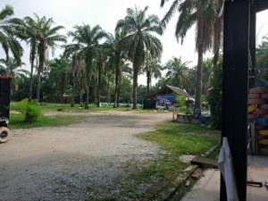 electric_gokart_park