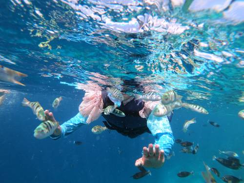 beautiful maldives fish